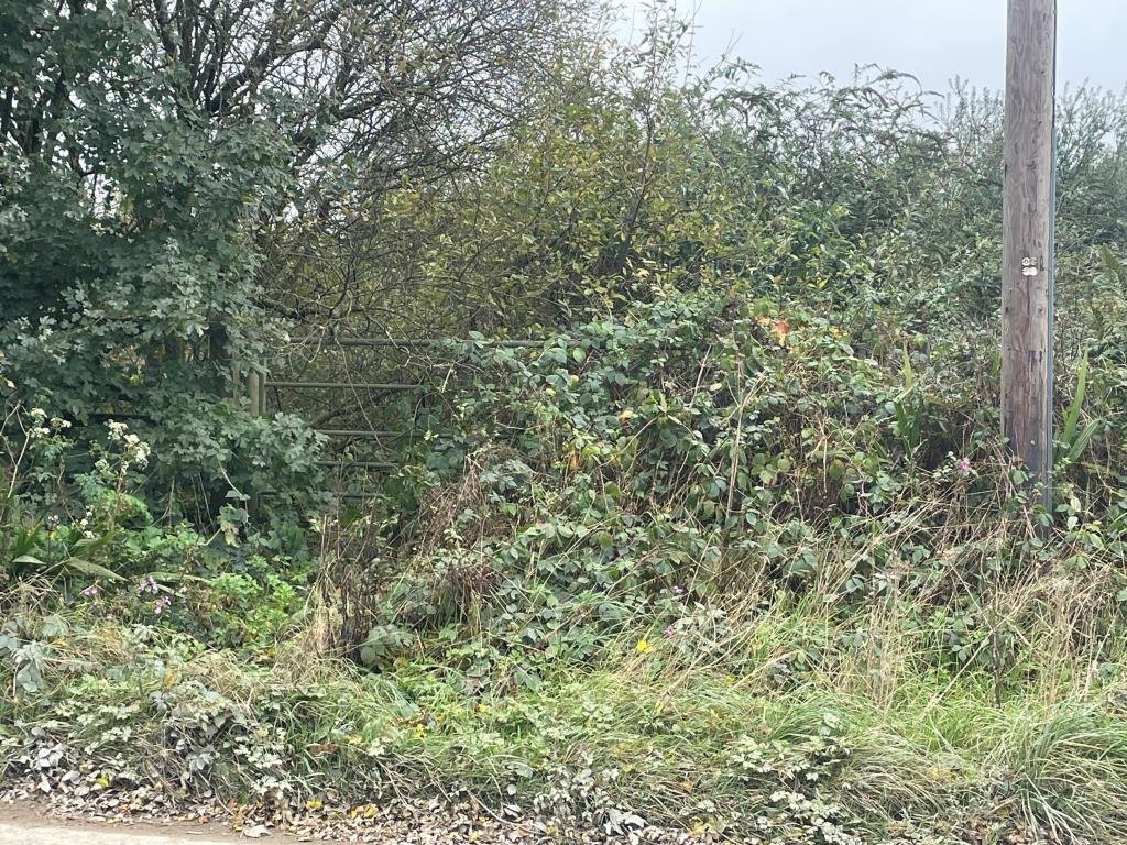 Lot: 13 - LAND WITH PRE-APPLICATION ADVICE - Access point fronting onto Trezaise Road. Currently overgrown.